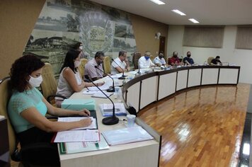 Foto - Reunião Ordinária do dia 15 de fevereiro de 2021.